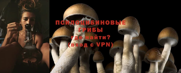 синтетический гашиш Арсеньев