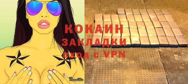 ГАЛЛЮЦИНОГЕННЫЕ ГРИБЫ Козловка