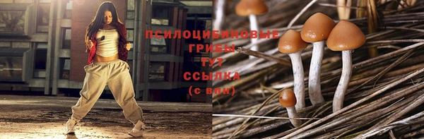 а пвп мука Кодинск